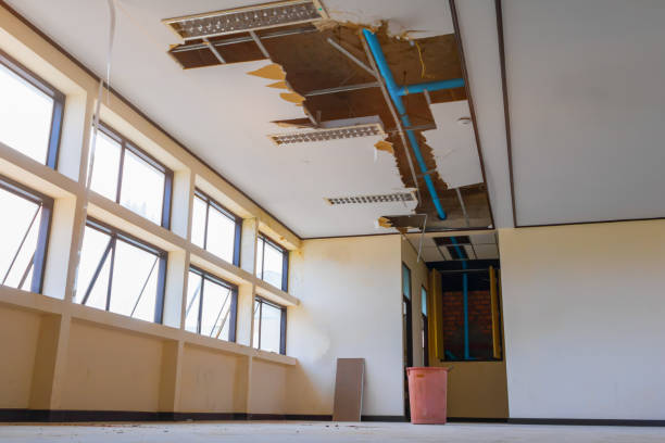 Best 24-hour water damage restoration  in Gra Forks, ND