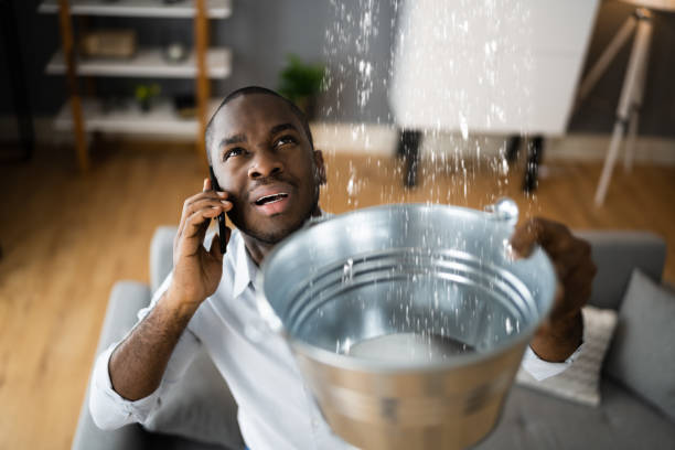 Best Professional water damage repair  in Gra Forks, ND