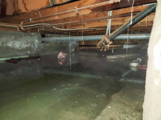 Reliable Grand Forks, ND Water damage restoration Solutions