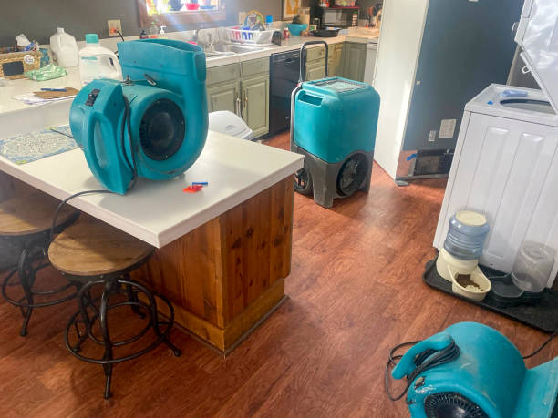 Best Carpet water damage restoration  in Gra Forks, ND