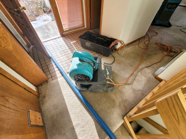Best Sewage cleanup and water damage restoration  in Gra Forks, ND
