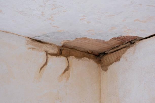 Best Water damage repair service  in Gra Forks, ND