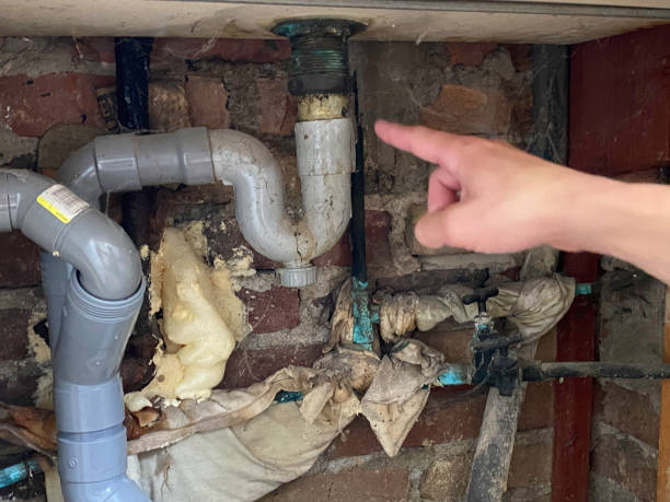 Best Water damage restoration near me  in Gra Forks, ND