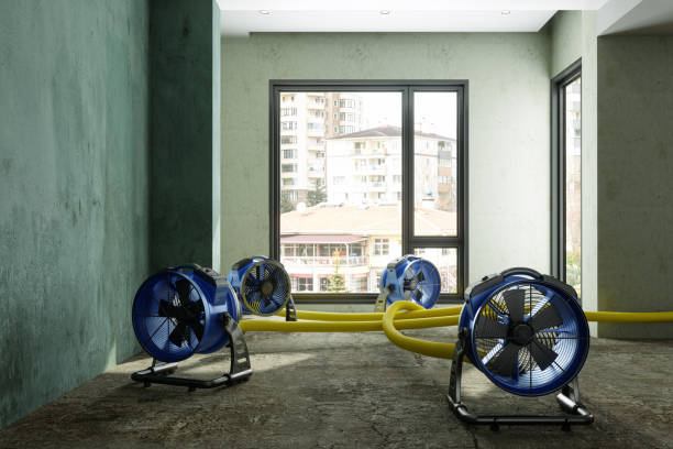 Best Commercial water damage restoration  in Gra Forks, ND