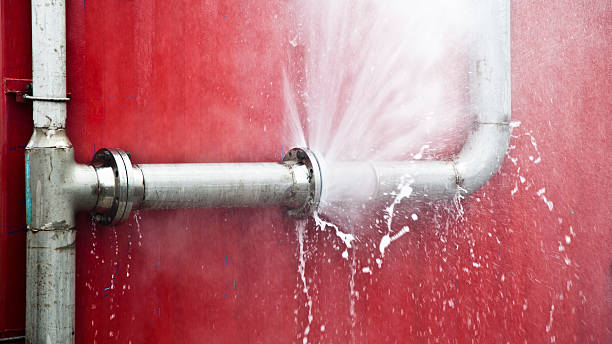 Best Flood damage cleanup  in Gra Forks, ND